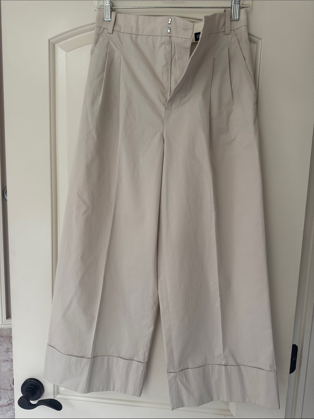 Zara Wide-Leg Pleated Pants in Light Beige
